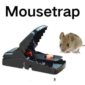 1 plastic mouse trap ebazarmart